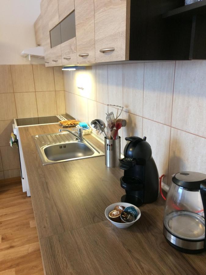Apartman Petra Horní Planá エクステリア 写真
