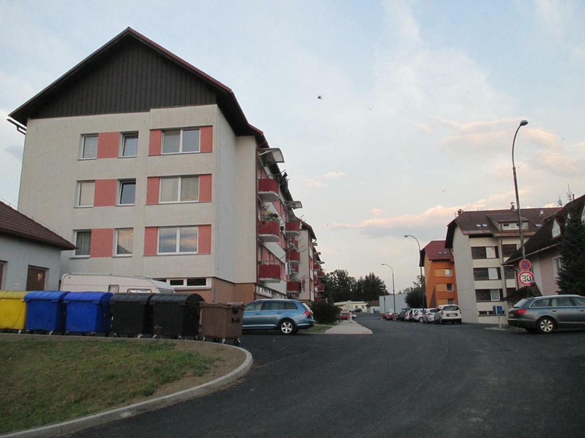 Apartman Petra Horní Planá エクステリア 写真